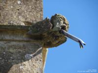 Latton - photo: 0447