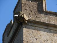 Latton - photo: 0454