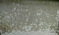 Little Somerford - photo: 0051