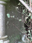 Little Somerford - photo: 0053