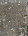 Little Somerford - photo: 0064