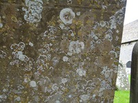 Little Somerford - photo: 0123