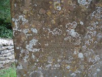 Little Somerford - photo: 0124