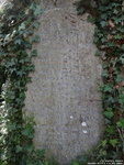 Little Somerford - photo: 0129