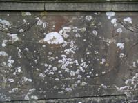 Lydiard Tregoze - photo: 0324