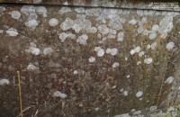 Lydiard Tregoze - photo: 0395