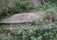 Lydiard Tregoze - photo: 0406