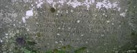 Lydiard Tregoze - photo: 0407
