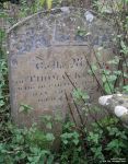 Lydiard Tregoze - photo: 0418