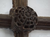 Lydiard Tregoze - photo: 0448