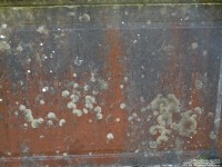 Lydiard Tregoze - photo: 1028