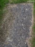 Lydiard Tregoze - photo: 1085