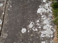 Lydiard Tregoze - photo: 1106