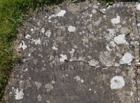 Lydiard Tregoze - photo: 1110