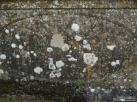 Lydiard Tregoze - photo: 1120