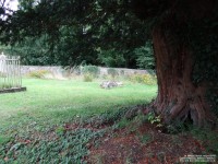 Lydiard Tregoze - photo: 1127
