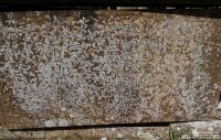 Lydiard Tregoze - photo: 1181