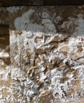 Lydiard Tregoze - photo: 1217