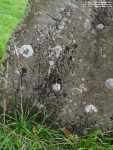 Lydiard Tregoze - photo: 1327