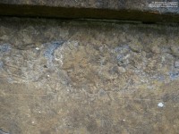 Lydiard Tregoze - photo: 1378