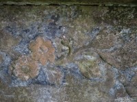 Lydiard Tregoze - photo: 1386