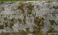 Lydiard Tregoze - photo: 1430