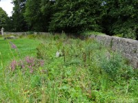 Lydiard Tregoze - photo: 1484