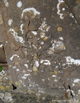Lydiard Tregoze - photo: 1561