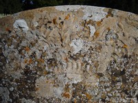 Lydiard Tregoze - photo: 1600