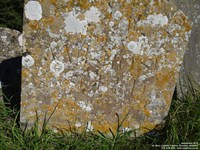 Lydiard Tregoze - photo: 1605