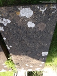 Lydiard Tregoze - photo: 1625