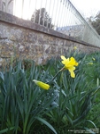 Lydiard Tregoze - photo: 1636