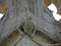 Lydiard Tregoze - photo: 1697