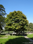 Lydiard Tregoze - photo: 1707