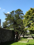 Lydiard Tregoze - photo: 1709