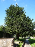 Lydiard Tregoze - photo: 1710