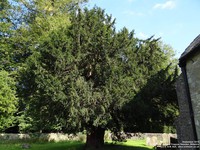 Lydiard Tregoze - photo: 1714