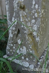 Malmesbury - photo: 00016
