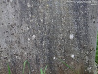 Malmesbury - photo: 00060