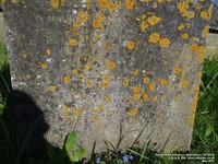 Malmesbury - photo: 00160