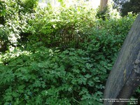 Malmesbury - photo: 00165