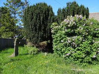 Malmesbury - photo: 00186