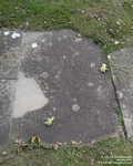Marlborough - photo: 0099