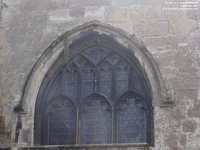 Marlborough - photo: 0183