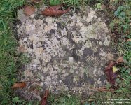 Netheravon - photo: 150