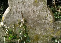 Orcheston St. Mary - photo: 015