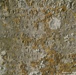 Orcheston St. Mary - photo: 027