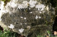 Orcheston St. Mary - photo: 036