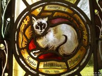 Orcheston St. Mary - photo: 096