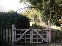 Orcheston St. Mary - photo: 162